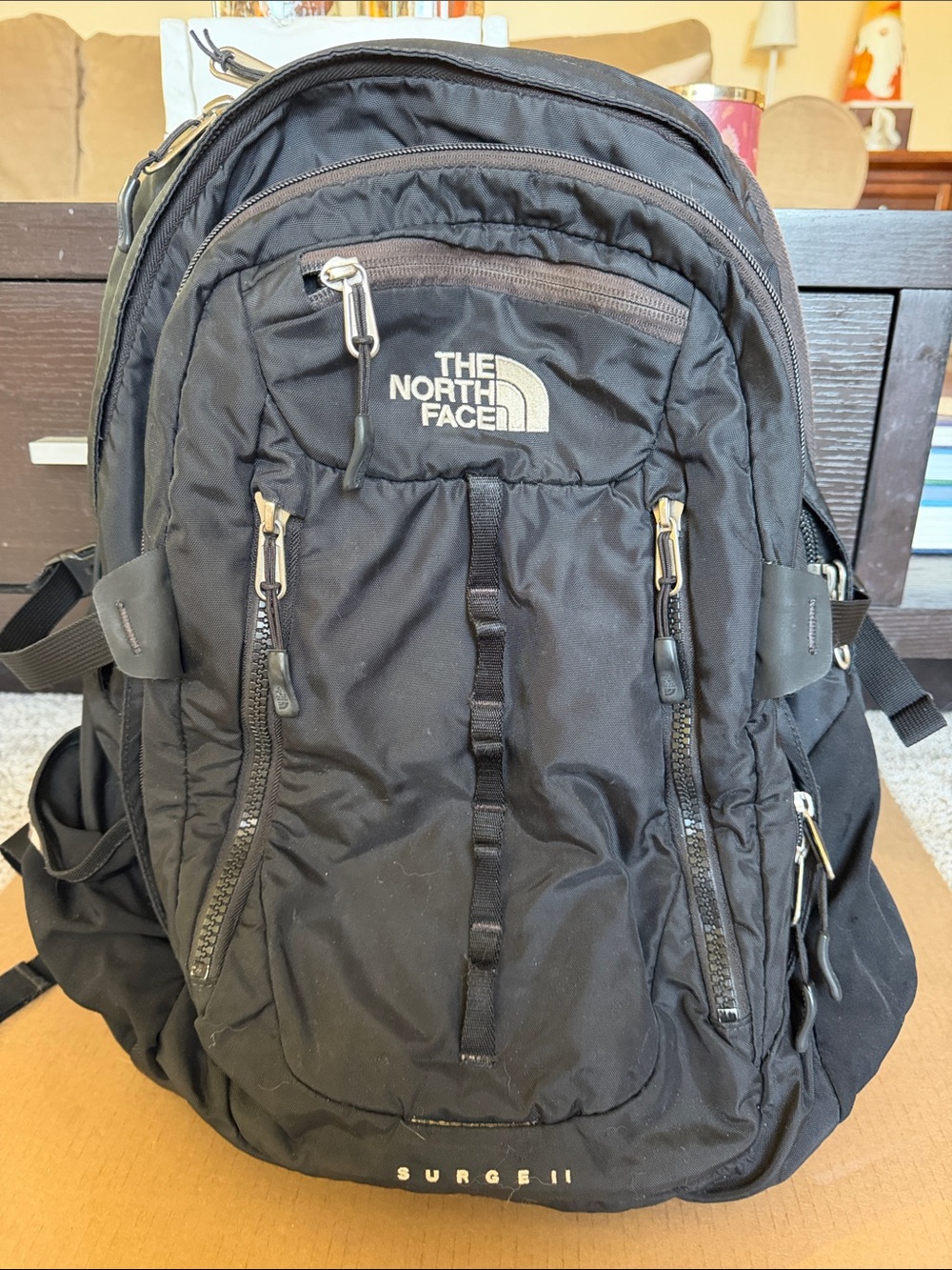 The North Face Black Surge II Backpack